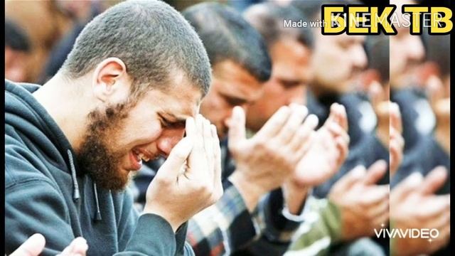 Йигитнинг боши номартга эмас жойнамозга эгилсин✍️🙏🤲☝️. Yigitning boshi nomartga emas joynamozga e