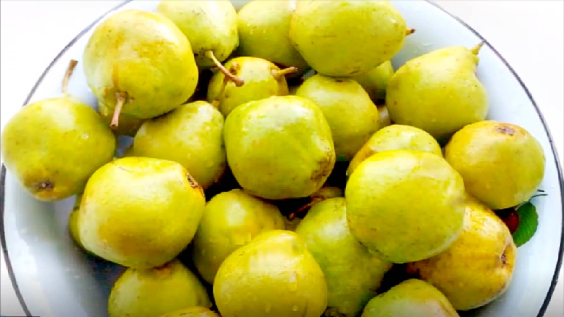 Кулинарные видео-рецепты и многое другое