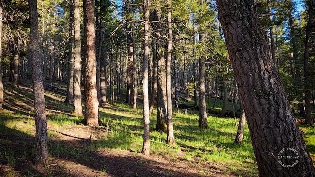 Mora Flats Backpacking  - Chapter 1 of 4