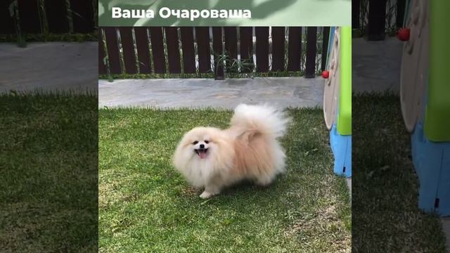 От ЛуЛу Лукасдшп смотреть онлайн