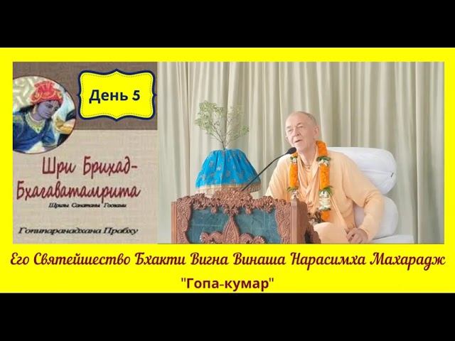 День 5 - 31.03.2020 - Брихад-Бхагаватамрита - БВВ Нарасимха Махарадж (англ-рус)