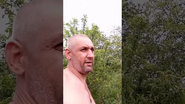 Никому не верь