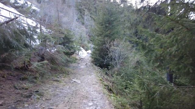 Куди зникли ХОМ’ЯКИ? Схід сонця на горі Хом’як. СХІДНІ ГОРГАНИ. Частина 1 [4К]