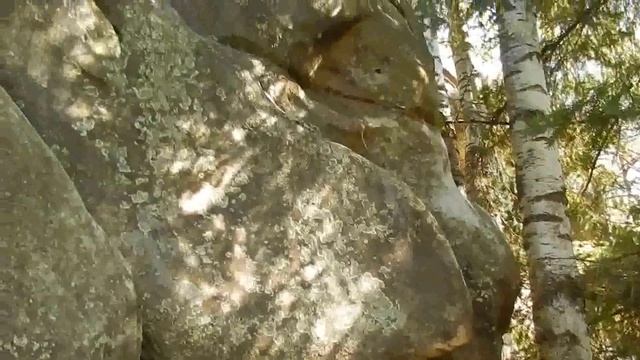 ТЕРНОШОРСЬКА ЛАДА