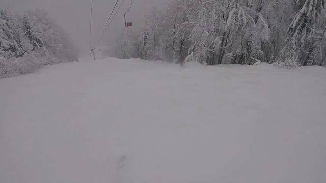 Тростян 23.01.2022 ❄️ смотреть онлайн