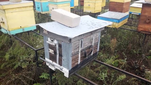 Мечты о навесе для ульев. 21.11.2022