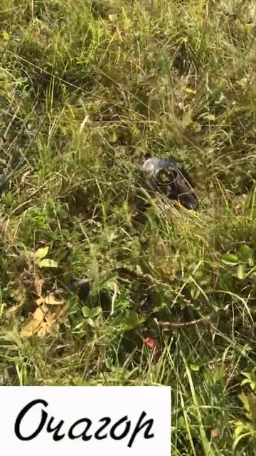 Есть   чудаки, которые верят не глазам, а навигатору