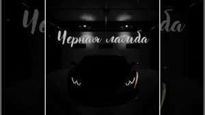 Трек-Черная ламба 2022 #музыка в машину