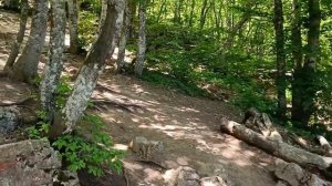 К зубцам Ай-Петри на машине. Дорога от Ялты до вершины. Черепашье озеро. Крым 2024.