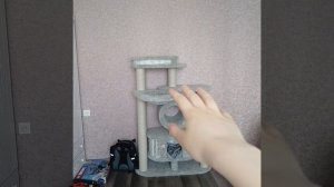 ЗАПУСК