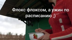 6 соток 25 апреля 2025 года. 2 часть.