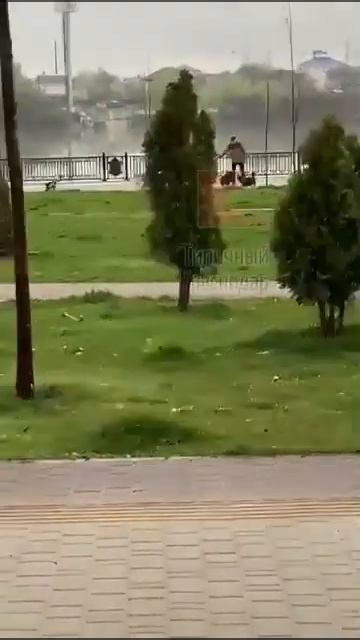 Собаки атакуют смотреть онлайн