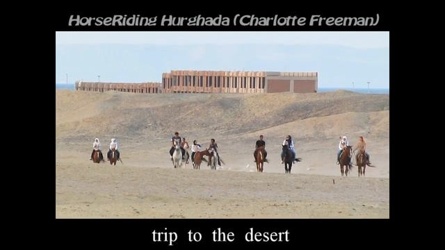 HorseRiding Hurghada (Charlotte Freeman). Конные прогулки в Хургаде смотреть онлайн