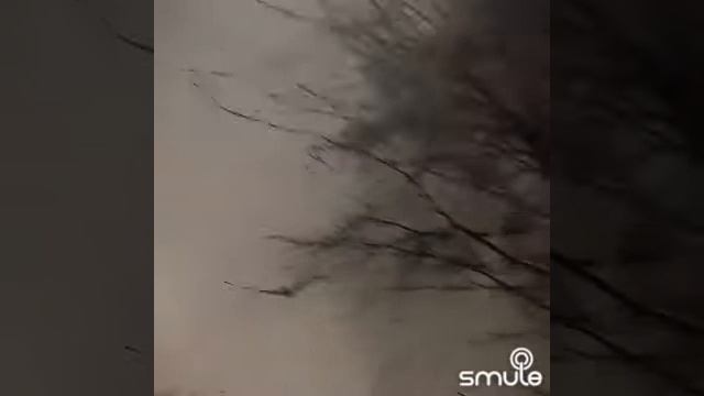 Заблудилась зима,за окном предновогодний дождь,😁🌲🍹 смотреть онлайн