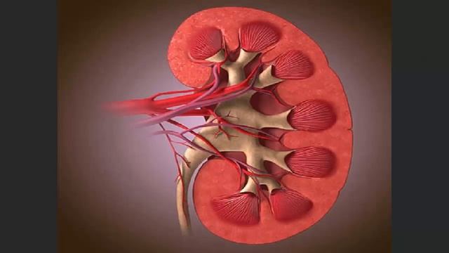 Ось що відбувається, якщо ви п'єте медову воду щоранку