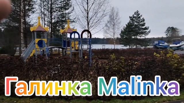 Сельчанка в Америке /ЧП у Сельчан /В больнице /Обзор Влогов /Selchanka V Amerike /Жизнь в Америке