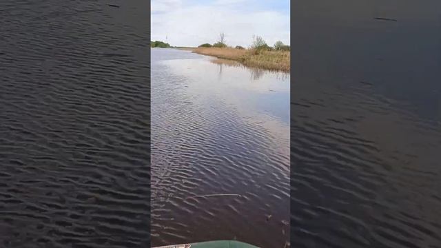 27 мая 2023 г. смотреть онлайн