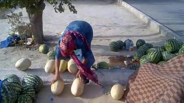 Turkmen Arbuz