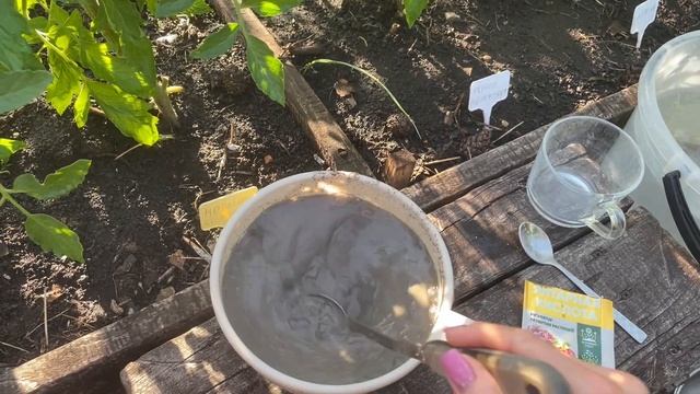 3 ВАРИАНТА ПОДКОРМОК ТОМАТОВ для быстрого налива плодов! смотреть онлайн