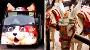 Общественный транспорт, способный удивить (#35)