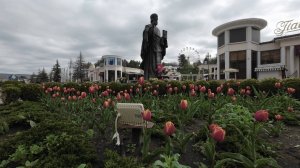 Кисловодск. Цветочная релакс прогулка по Курортному бульвару и проспекту Ленина. 26 апреля 2025 г.