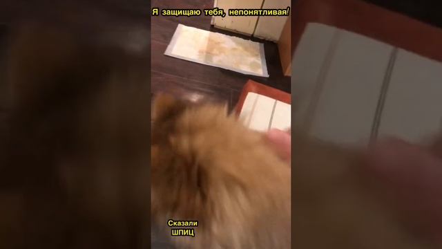 Я защищаю тебя, непонятливая!