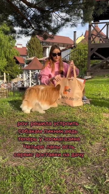 УСТРОИЛА ПИКНИК ДЛЯ СОБАК☀️ #смешныеживотные #собака #корги #dog #юмор #funny #шпиц #пикник #вкусно смотреть онлайн