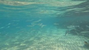 Риф напротив отеля Tia Heights Makadi Bay (ныне Xanadu Makadi Bay)