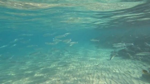 Риф напротив отеля Tia Heights Makadi Bay (ныне Xanadu Makadi Bay)