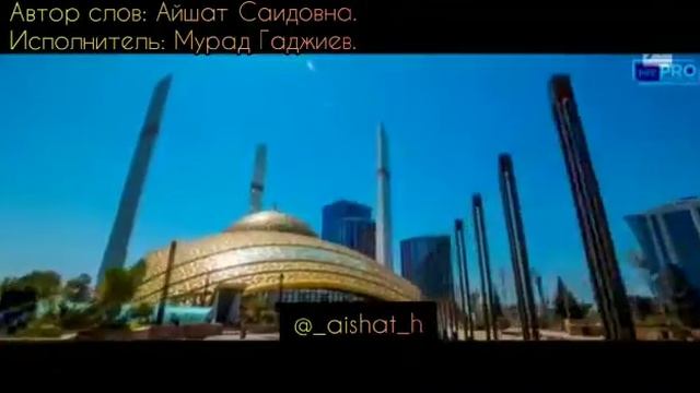 нашид про 