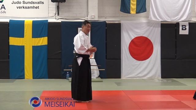 20 Aikido Shomen Uchi Kokyo Nage, Shishiya Sensei Sundsvall 2016