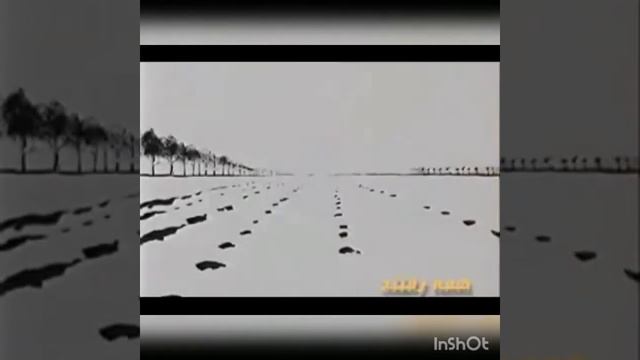 #ерони #музика Педар смотреть онлайн