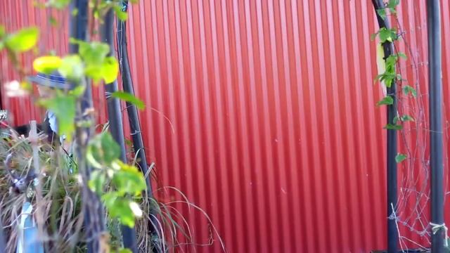 Welcome to Caloundra City Private School смотреть онлайн