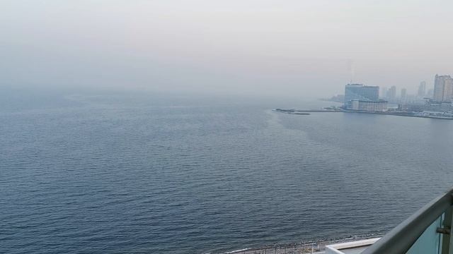 Иней на стадионе МГУ им. адм. Г.И. Невельского (г. Владивосток)