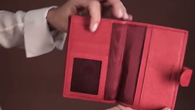 Обложка для автодокументов и паспорта 30002 RED