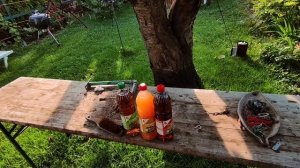 Кислотность почвы и поливной воды для томатов