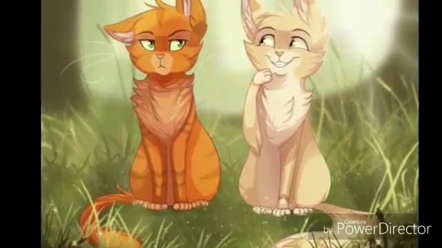 клип Я верю мичту 💔❤, Я верю судьбу,