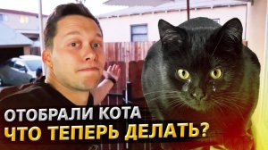 Сосед афроамериканец забрал у меня кота / Но я вышел из положения