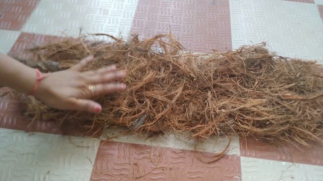 DIY- moneyplant Coco Coir Stic# use of coco fibers to make natural stick for moneyplant and vines смотреть онлайн