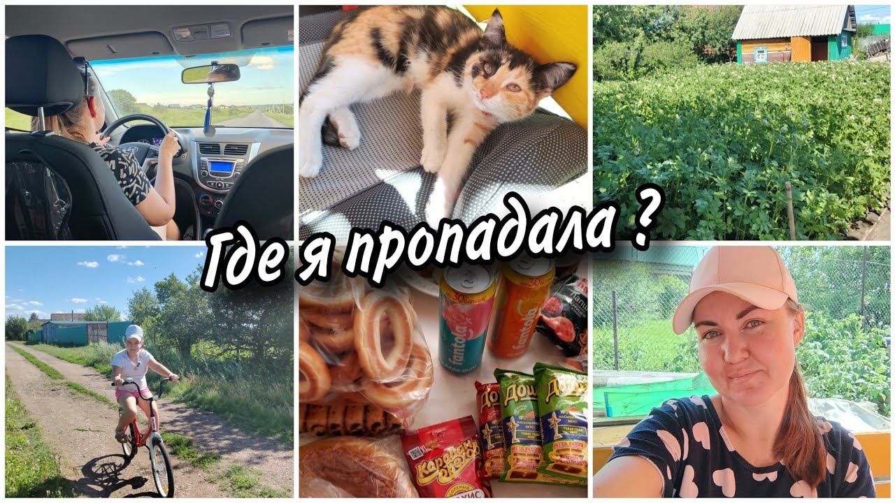 Почему не было влогов? Впервые купила микрофон для блогера. Покупки с дачного магазина. смотреть онлайн