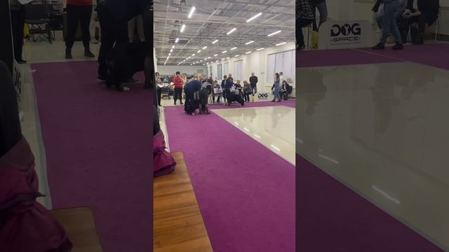 27 марта 2024 г.