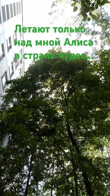 Волшебное чудо смотреть онлайн