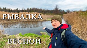 Рыбалка на реке с моей Собакой / Реальная рыбалка