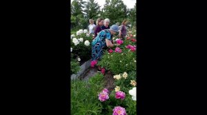 Посещение сада Васильева Ивана Яковлевича в 2024г членами содружества Отечественных пионов России