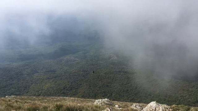 Вид на заповедник с Чатыр Дага смотреть онлайн