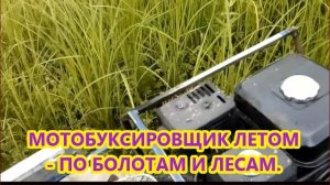 МОТОБУКСИРОВЩИК ЛЕТОМ - ПО БОЛОТАМ И ЛЕСАМ.