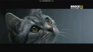 Рекламный блок (Bridge TV Русский Хит, 22.07.2019)