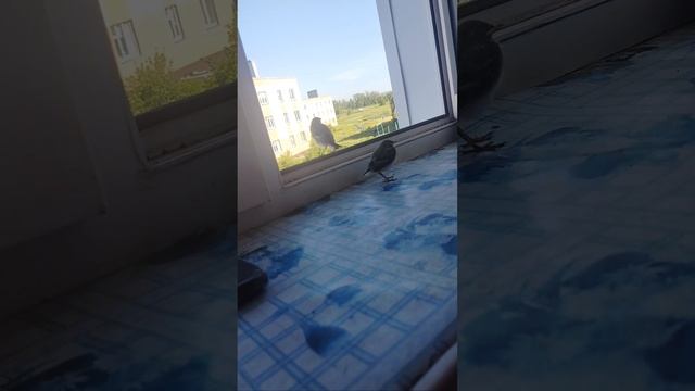 11 июня 2024 г. смотреть онлайн