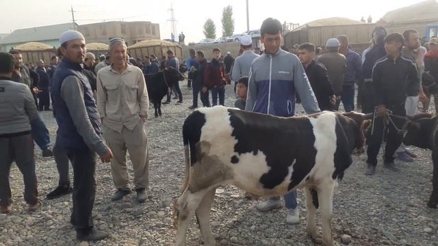 мол бозори шанбе Регар турсунзода