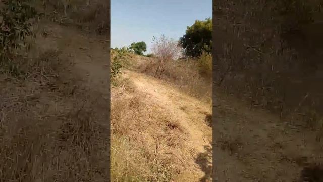 74 acres,1 acre @ 1.10cr, 50 acres Mango & 24acre pmTrees ,3.8km From N Highway Contact : 944170601 смотреть онлайн